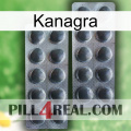 Kanagra 31